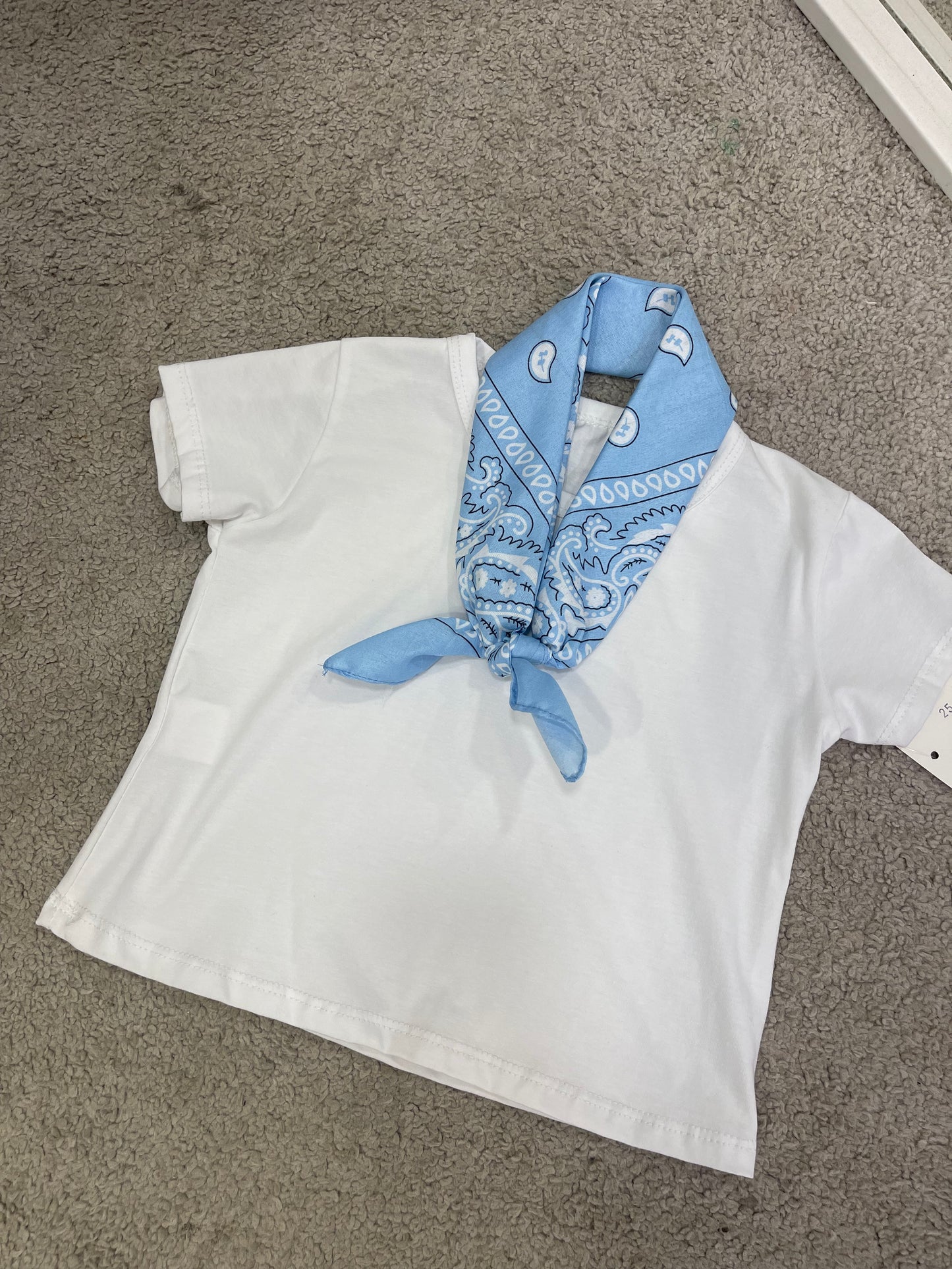 T shirt bandana