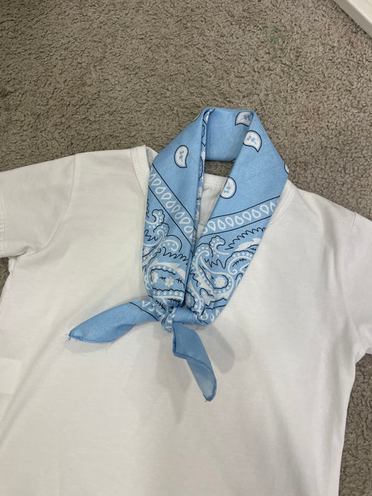 T shirt bandana